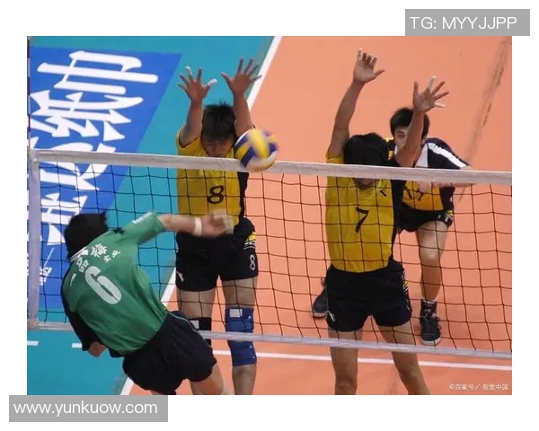 武汉排球队的默契配合与战术分析探讨排球运动的魅力与团队精神