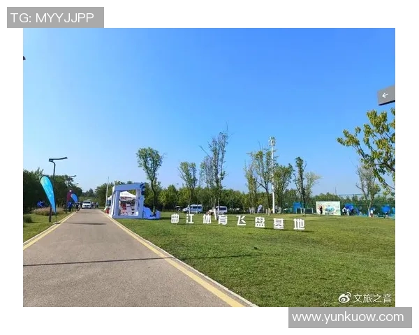 西安飞盘队实力解析：从技术到战术的全面剖析与展望